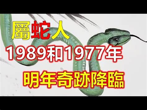 1989 蛇 五行|1989年生肖蛇的是什么命 89年的属蛇人一生命运分析